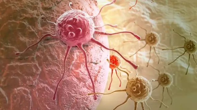 癌癥、白血病越來(lái)越多，是因?yàn)闀r(shí)代在進(jìn)步而導(dǎo)致的嗎？