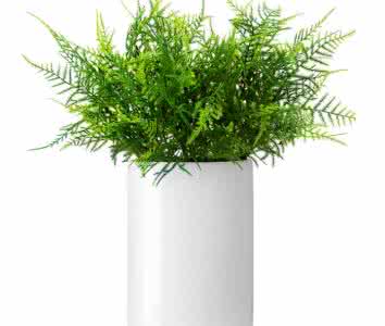 除了找除甲醛公司尋求幫助，還有什么辦法可以去毒