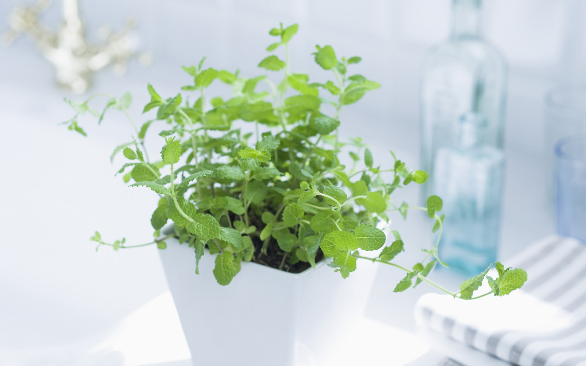 央視***主持人朱迅因癌癥離開大屏幕，這7個(gè)壞習(xí)慣最容易得癌癥！